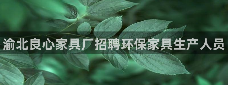 杏耀测速网址电脑版