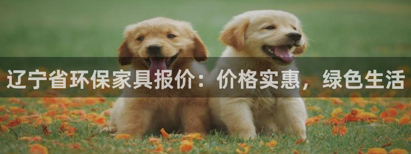 杏耀代理主管qq