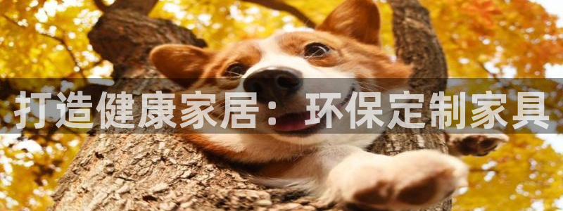 杏耀测速网址电脑版