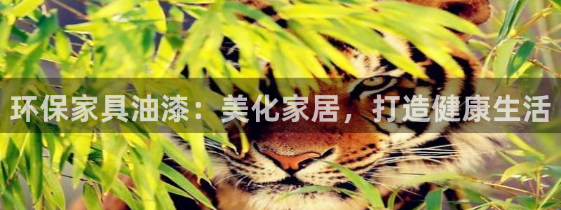 杏耀平台网页版