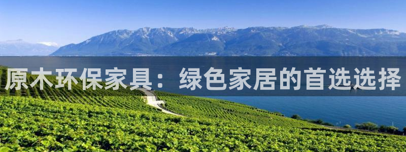 杏耀登入官网：原木环保家具：绿色家居的首选选择