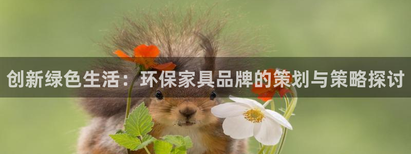 杏耀网页手机登录：创新绿色生活：环保家具品牌的策划与策略探讨