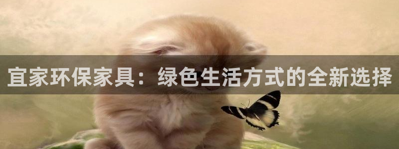 杏耀代理1980