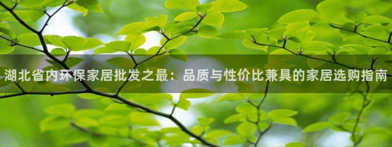 杏耀平台注册：湖北省内环保家居批发之最：品质与性价比兼具的家