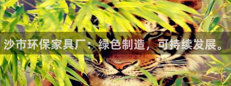 杏耀代理注册：沙市环保家具厂：绿色制造，可持续发展。