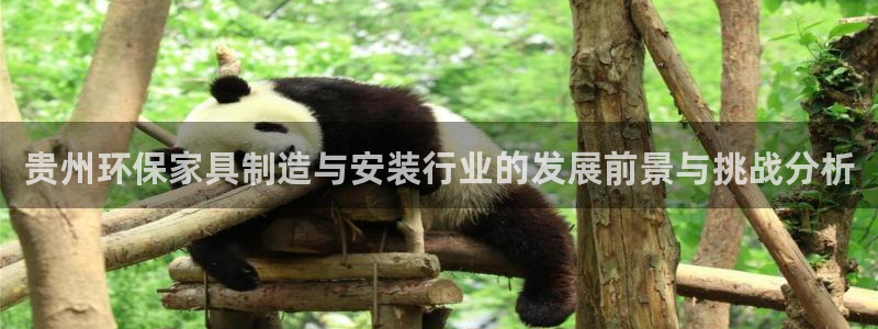 杏耀平台登录检测：贵州环保家具制造与安装行业的发展前景与挑战