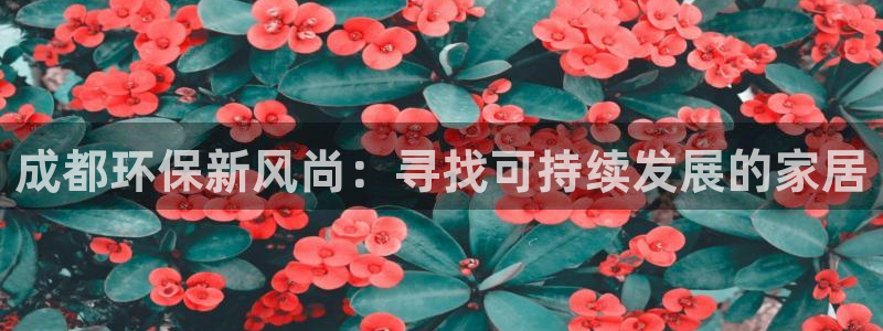 杏耀官网游戏：成都环保新风尚：寻找可持续发展的家居