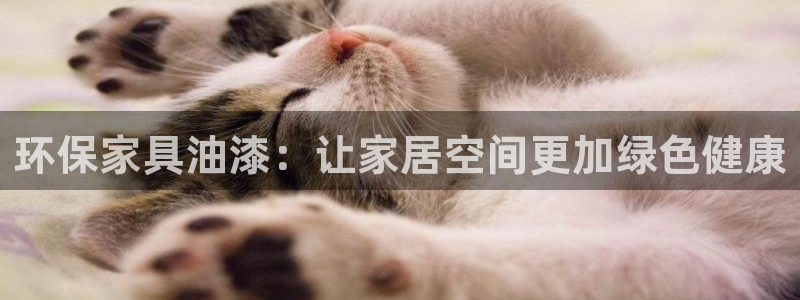 杏耀平台已注册入口：环保家具油漆：让家居空间更加绿色健康