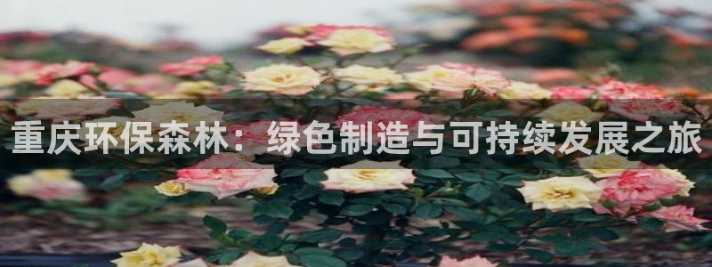 杏耀平台怎么样?：重庆环保森林：绿色制造与可持续发展之旅