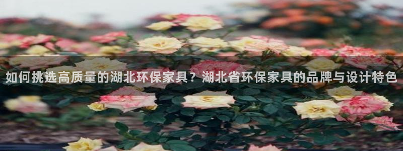 杏耀app怎样申请退款：如何挑选高质量的湖北环保家具？湖北省
