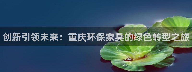杏耀官网登录：创新引领未来：重庆环保家具的绿色转型之旅