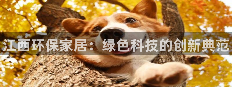 杏耀平台登录首页：江西环保家居：绿色科技的创新典范