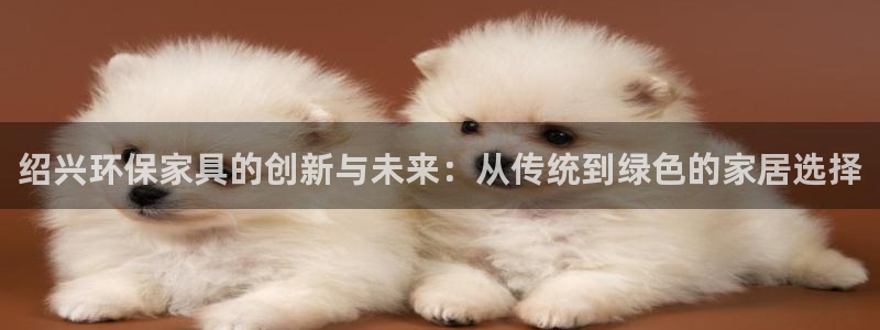 杏耀平台官网下载：绍兴环保家具的创新与未来：从传统到绿色的家