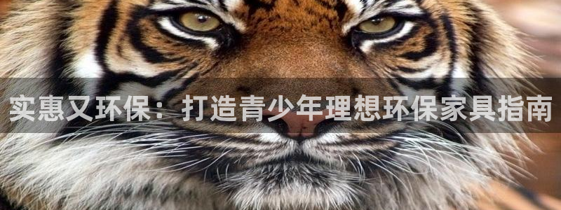 杏耀平台正规么：实惠又环保：打造青少年理想环保家具指南