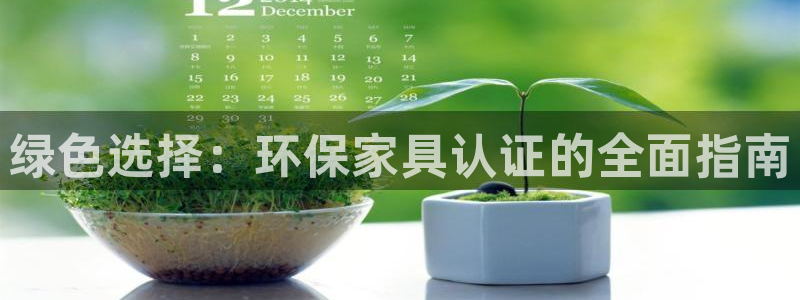 杏耀平台代理注册多少钱：绿色选择：环保家具认证的全面指南